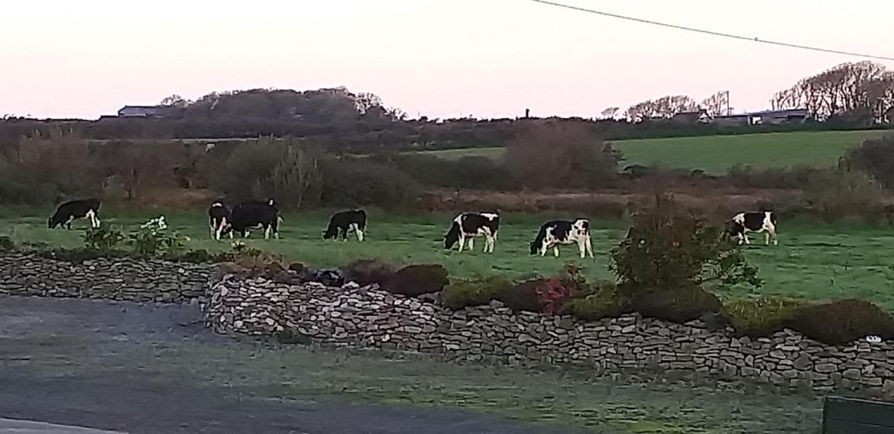 Murphys Irish Farmhouse Tralee Exteriér fotografie